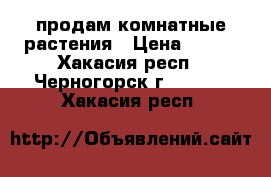 продам комнатные растения › Цена ­ 200 - Хакасия респ., Черногорск г.  »    . Хакасия респ.